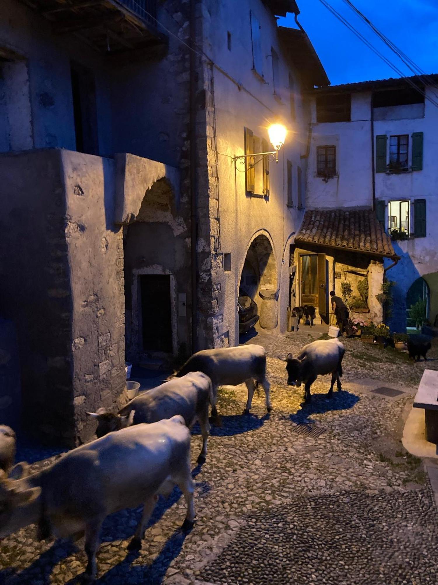 A Casa Di Gianni E Mari Bed and Breakfast Vestone Eksteriør billede