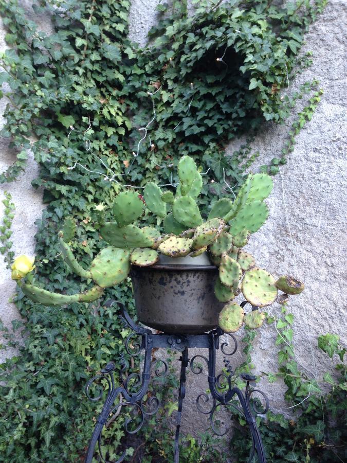 A Casa Di Gianni E Mari Bed and Breakfast Vestone Eksteriør billede